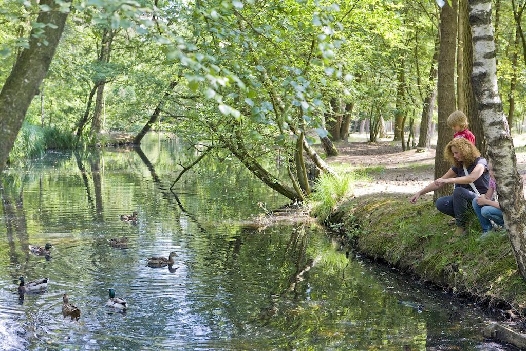 Center Parcs Meerdal Limburg-Brabant America Luaran gambar