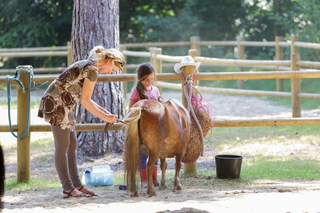 Center Parcs Meerdal Limburg-Brabant America Luaran gambar