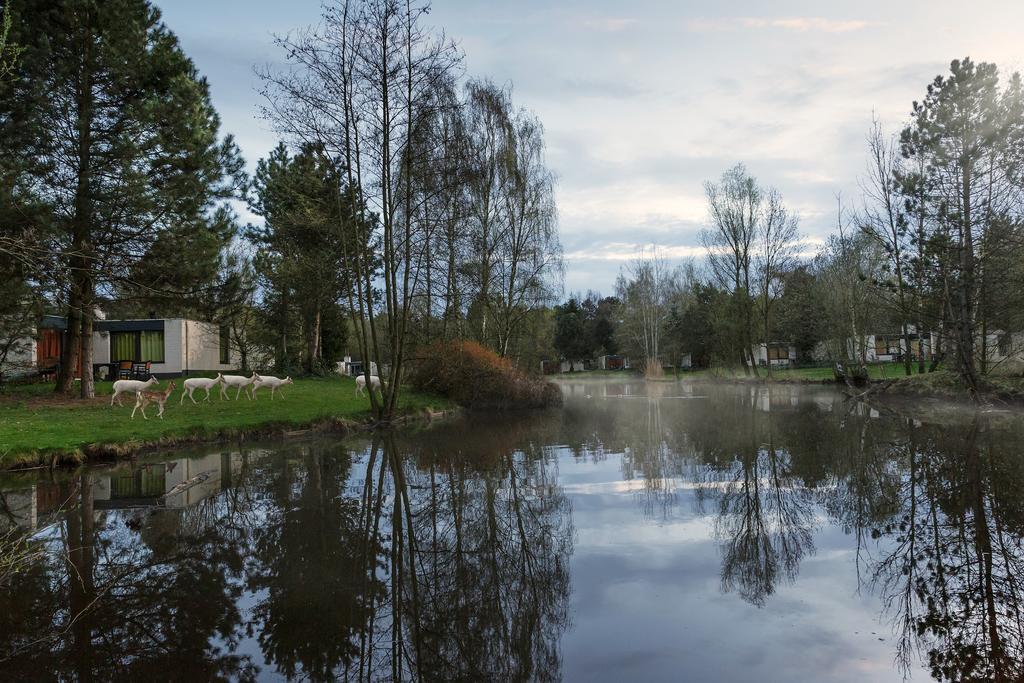 Center Parcs Meerdal Limburg-Brabant America Luaran gambar