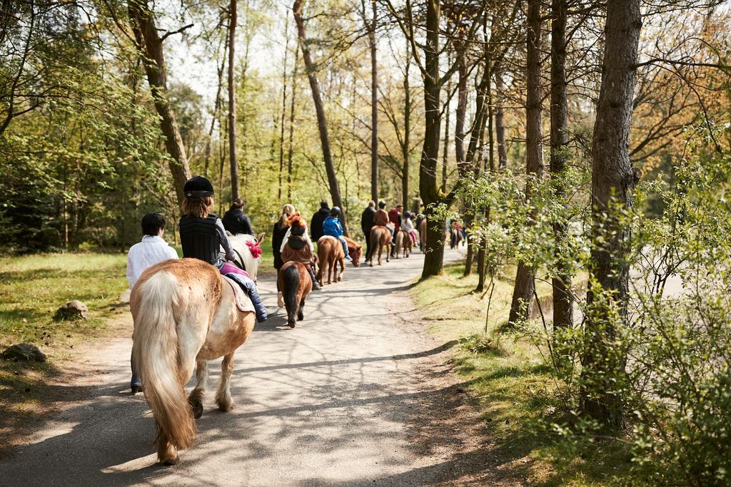 Center Parcs Meerdal Limburg-Brabant America Luaran gambar