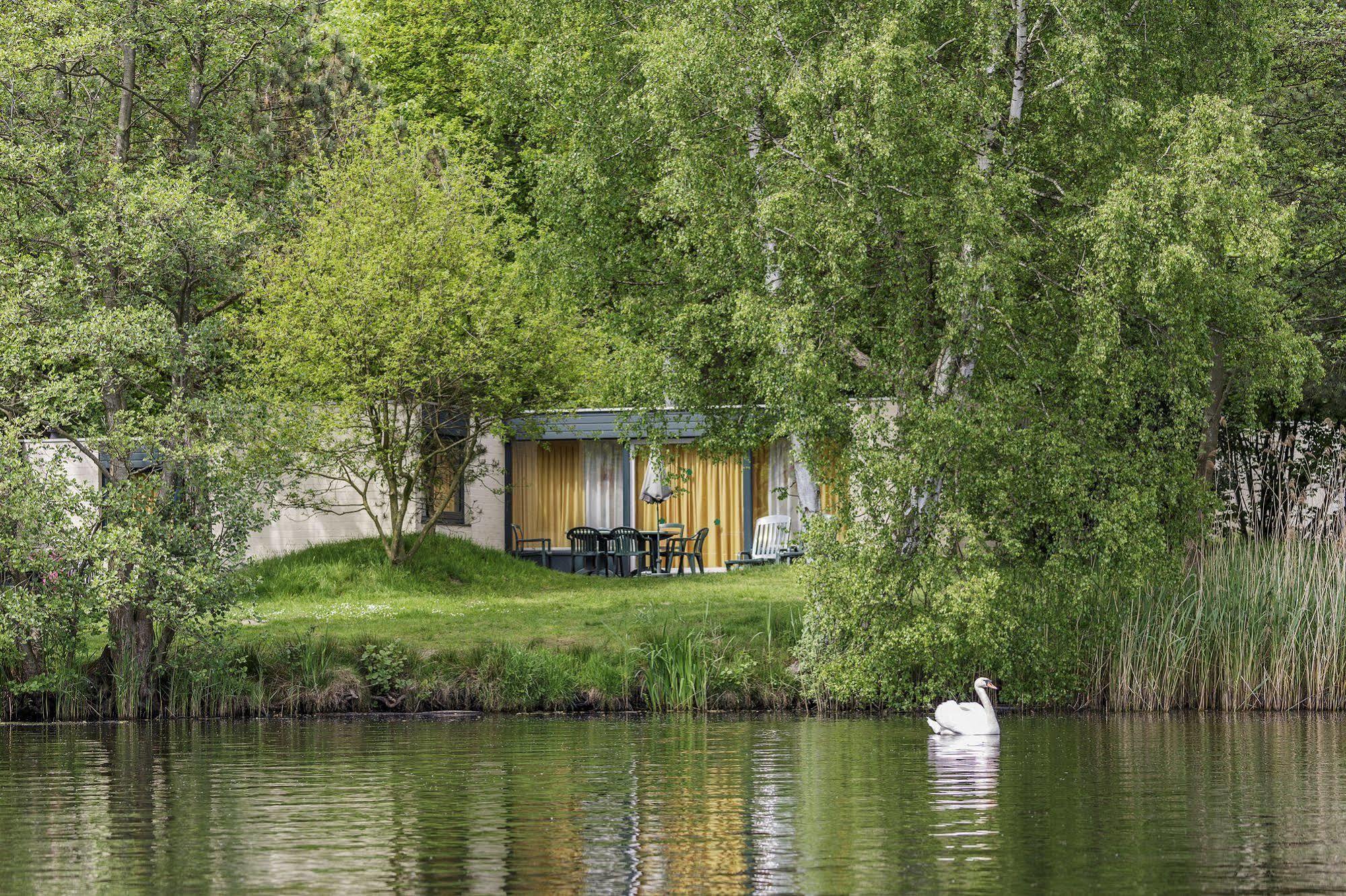 Center Parcs Meerdal Limburg-Brabant America Luaran gambar